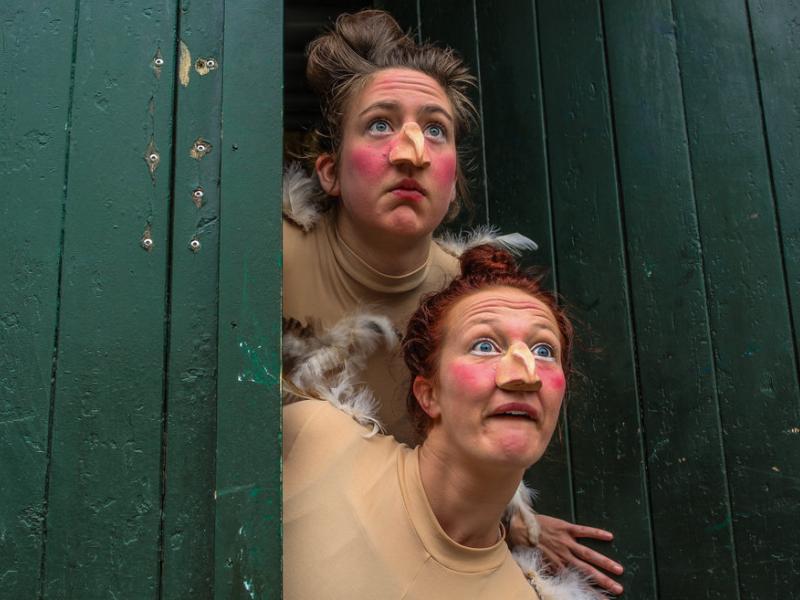 To kvinder klædt ud som høns kigger ud af en døråbning. 